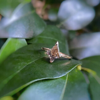 Kite shaped salt and pepper diamond ring on a leaf.