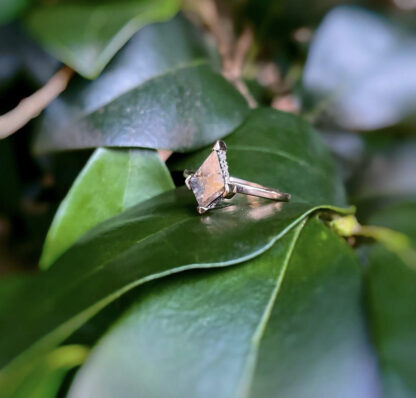 Kite shaped salt and pepper diamond ring sitting on a leaf.