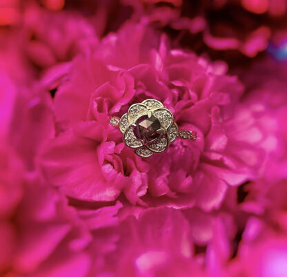 Salt and pepper ring sitting on a pink flower..